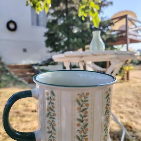 Lombfeszek 度假居
